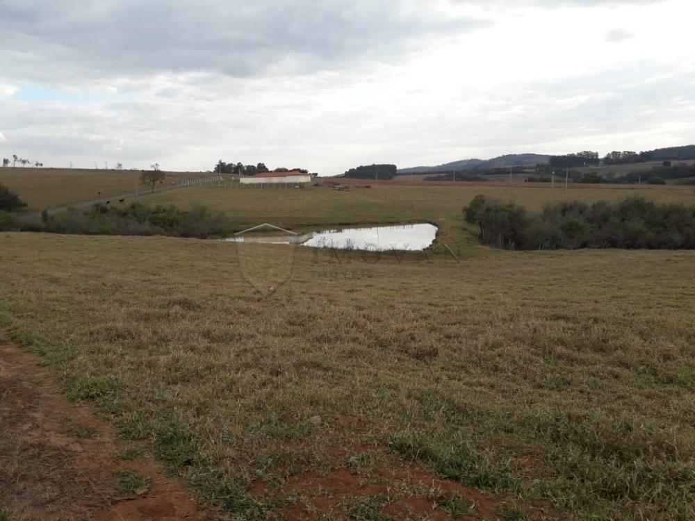 Comprar Casa / Padrão em Santo Antônio da Alegria R$ 1.290.000,00 - Foto 11