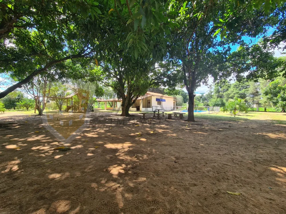 Comprar Rural / Chácara em Mococa R$ 350.000,00 - Foto 9