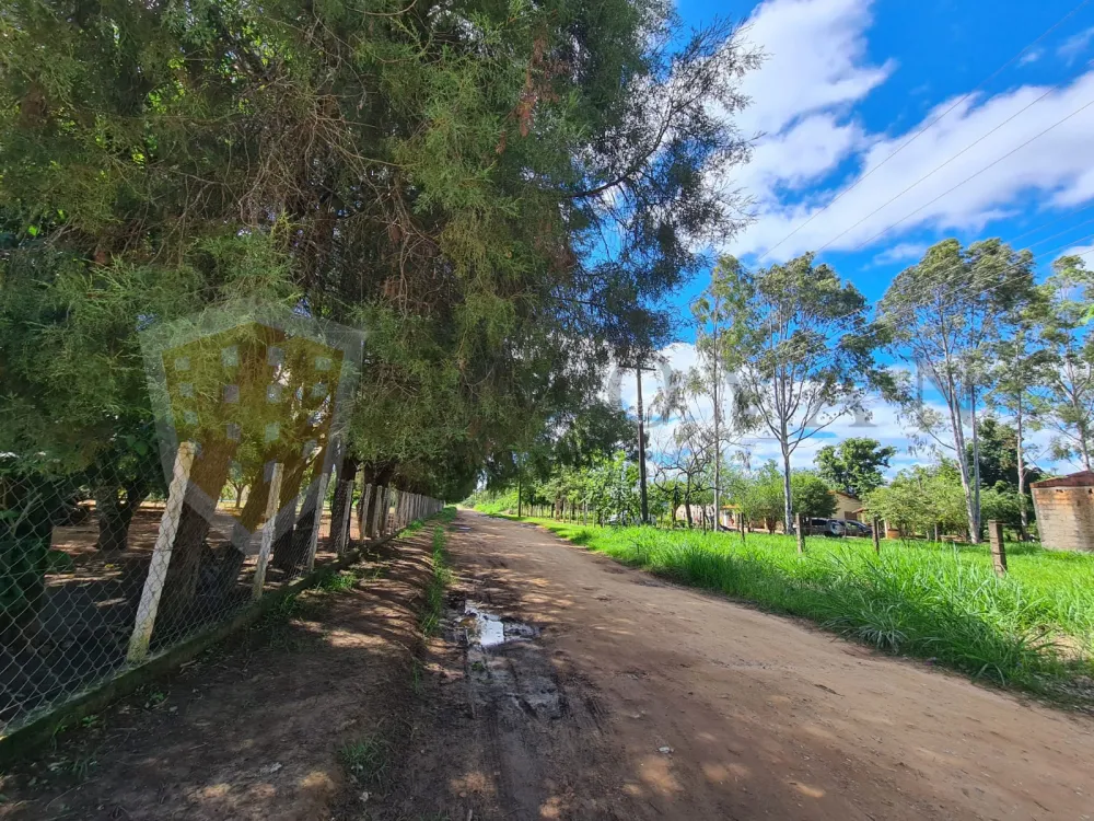 Comprar Rural / Chácara em Mococa R$ 350.000,00 - Foto 2