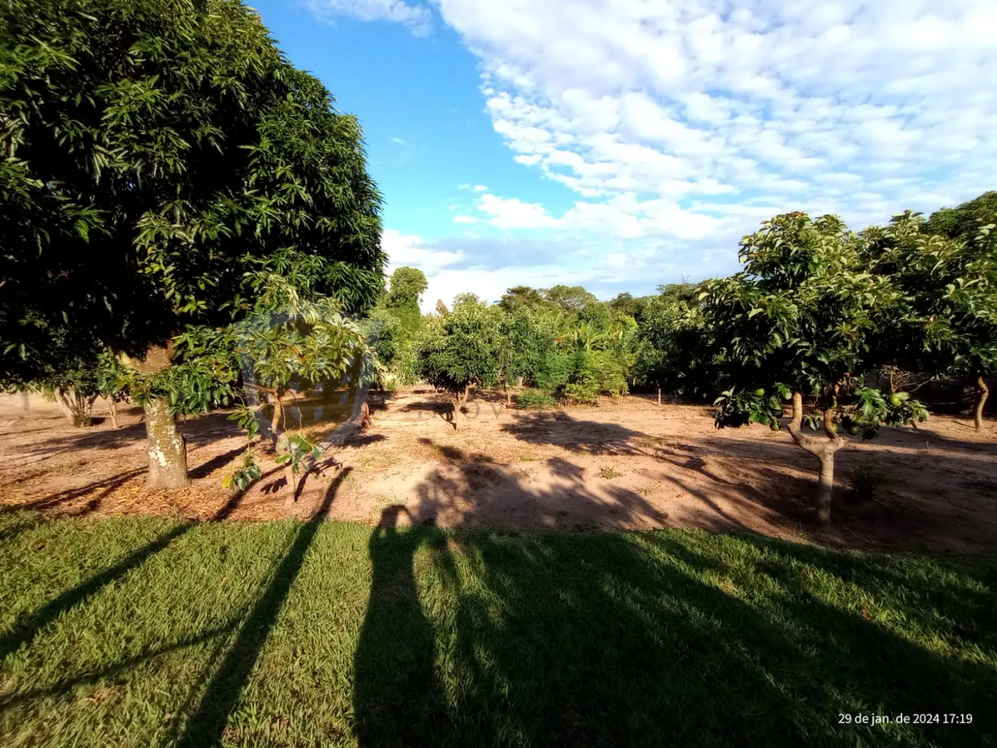 Comprar Rural / Chácara em Santa Rita do Passa Quatro R$ 1.800.000,00 - Foto 35