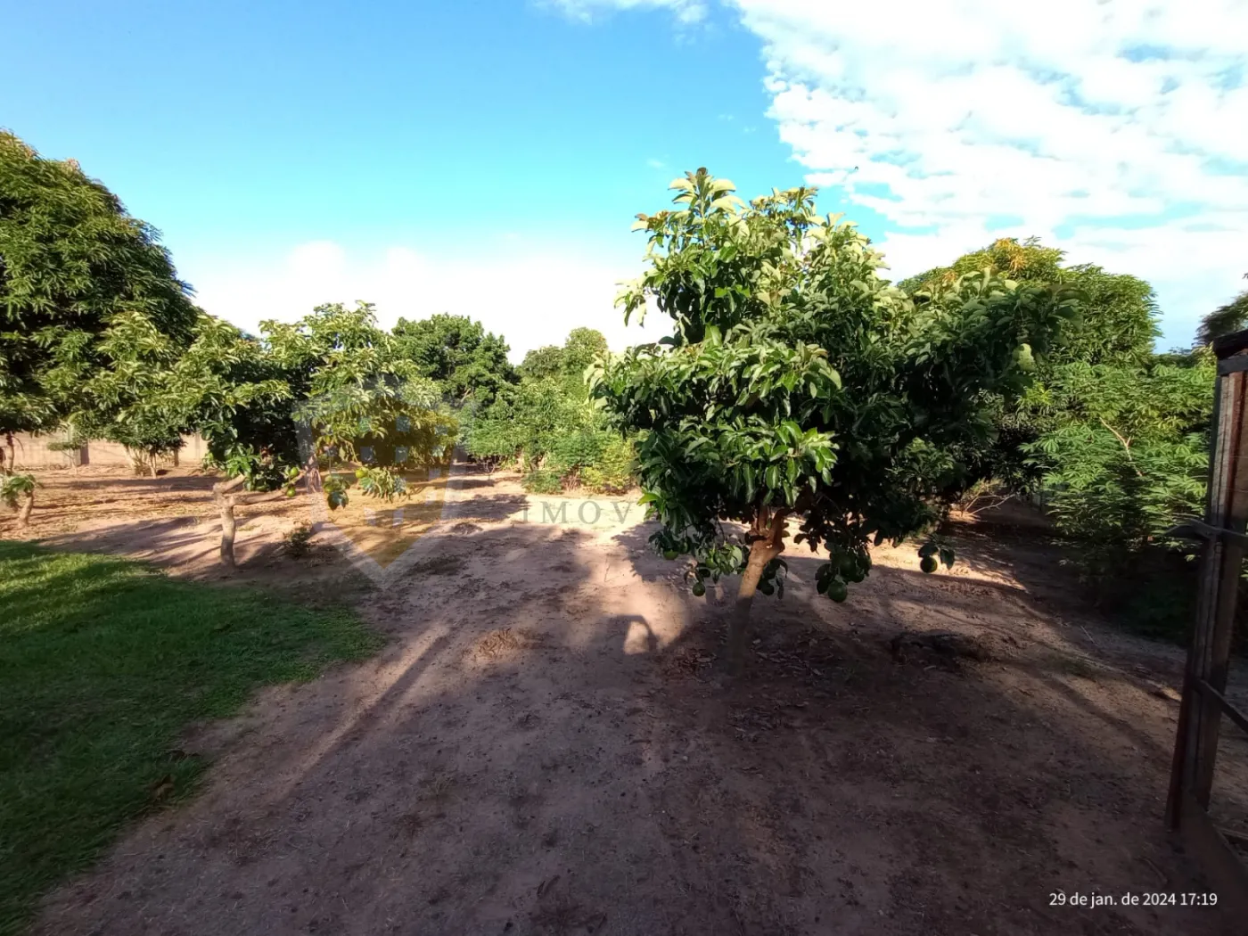 Comprar Rural / Chácara em Santa Rita do Passa Quatro R$ 1.800.000,00 - Foto 34