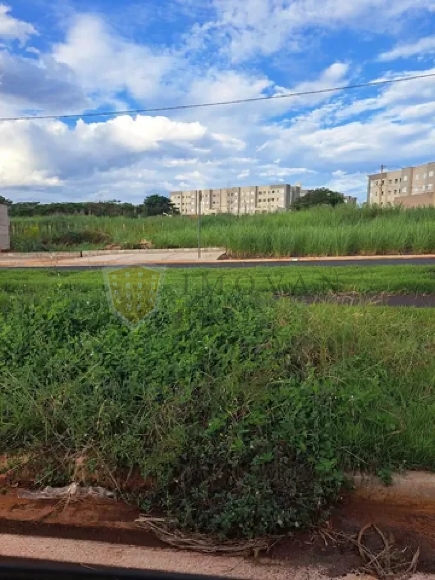 Comprar Terreno / Padrão em Ribeirão Preto R$ 130.000,00 - Foto 1