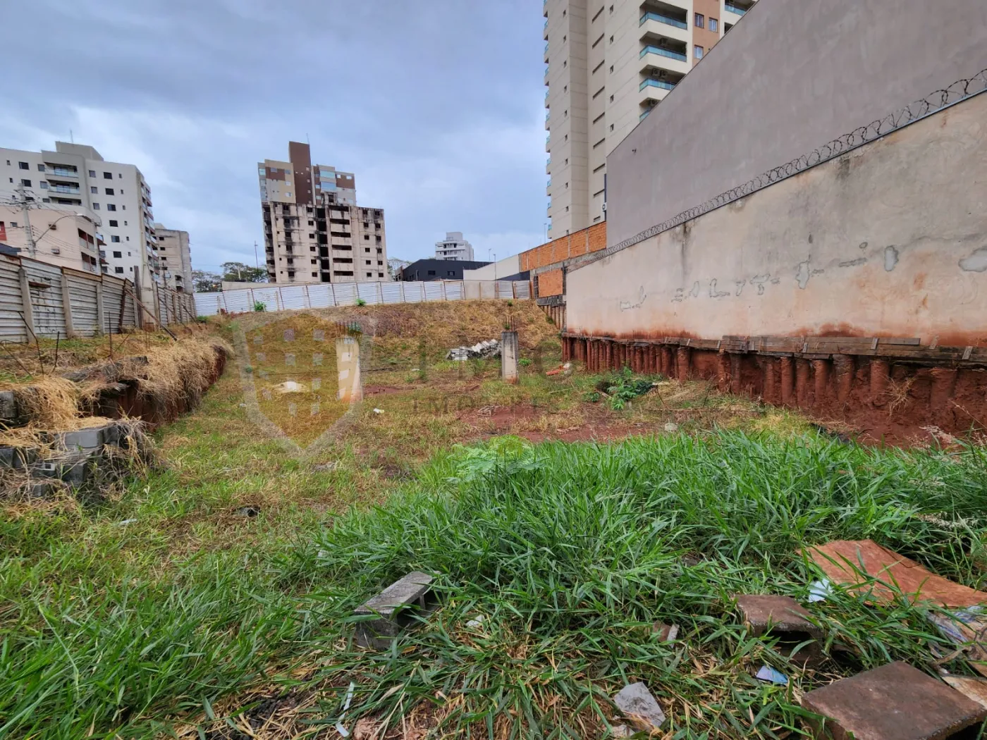 Comprar Terreno / Padrão em Ribeirão Preto R$ 3.600.000,00 - Foto 3