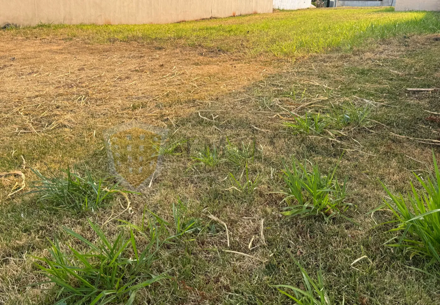 Comprar Terreno / Condomínio em Ribeirão Preto R$ 640.000,00 - Foto 3