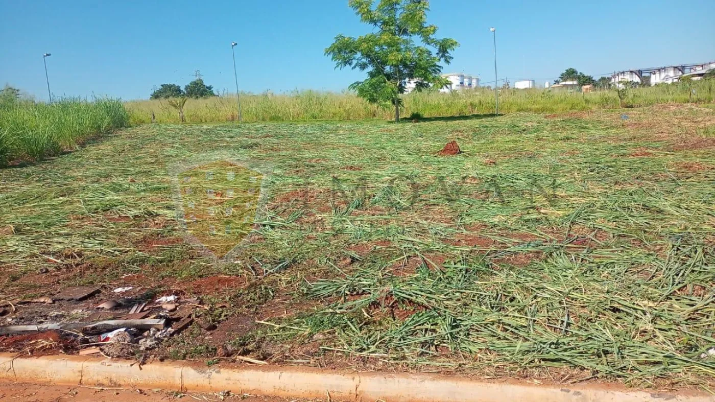 Comprar Terreno / Padrão em Ribeirão Preto R$ 290.000,00 - Foto 1