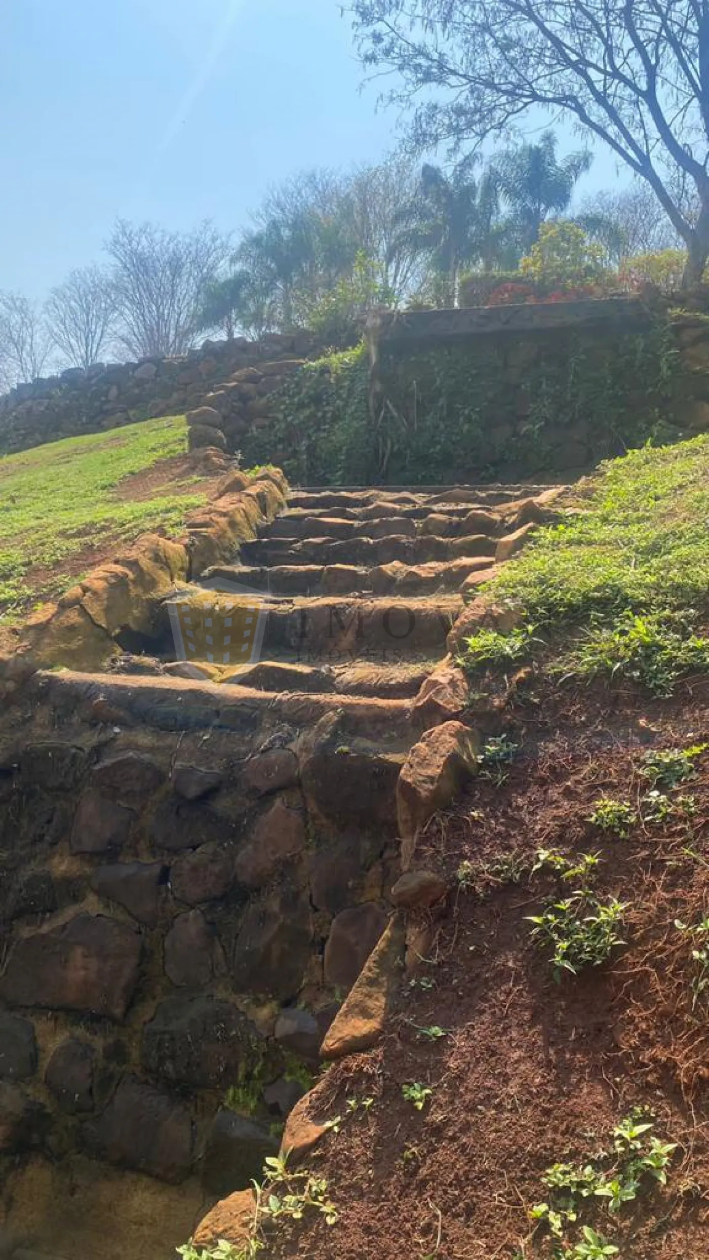 Comprar Terreno / Condomínio em Ribeirão Preto R$ 1.300.000,00 - Foto 4