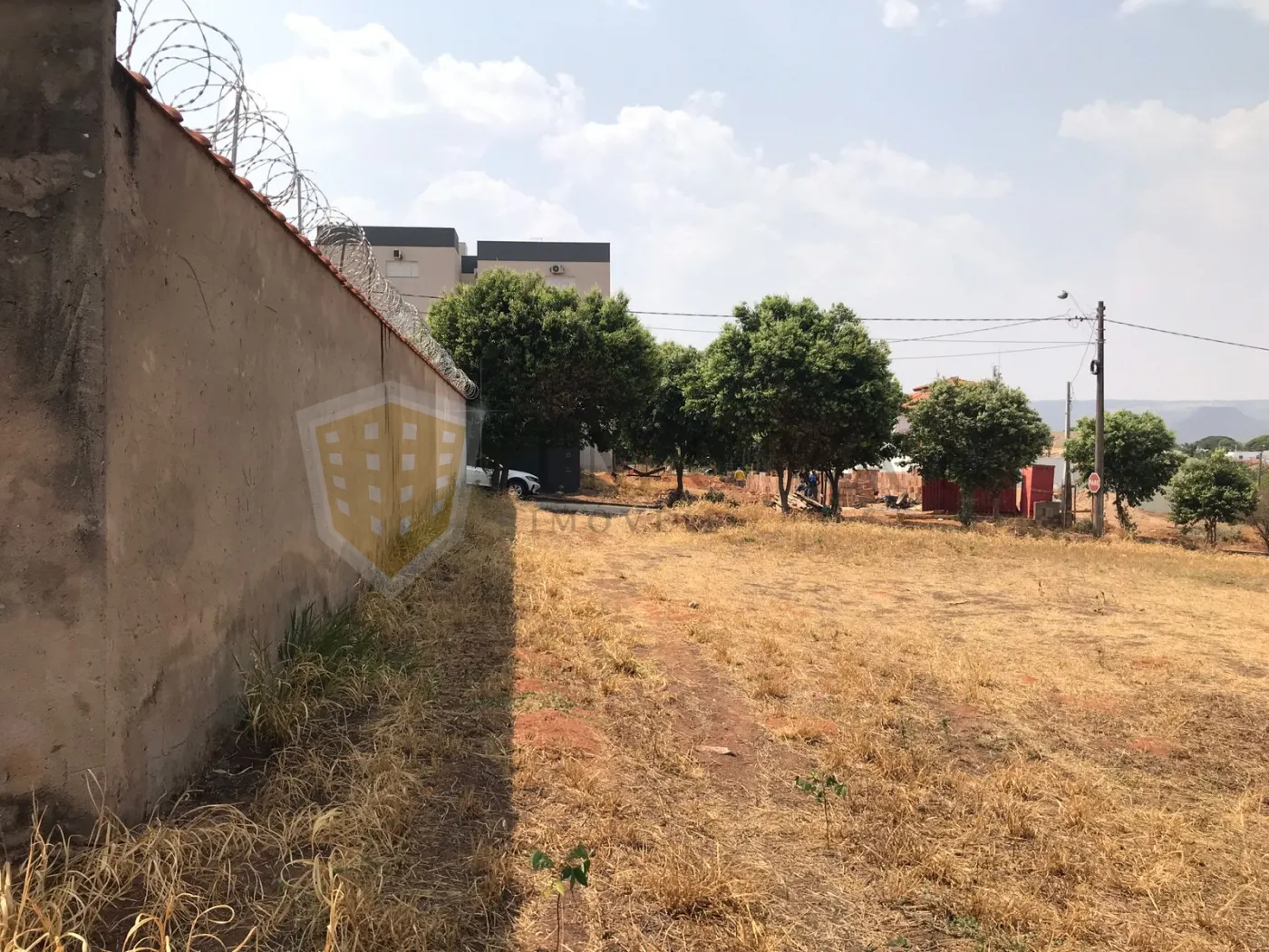 Comprar Terreno / Padrão em Rifaina R$ 250.000,00 - Foto 3