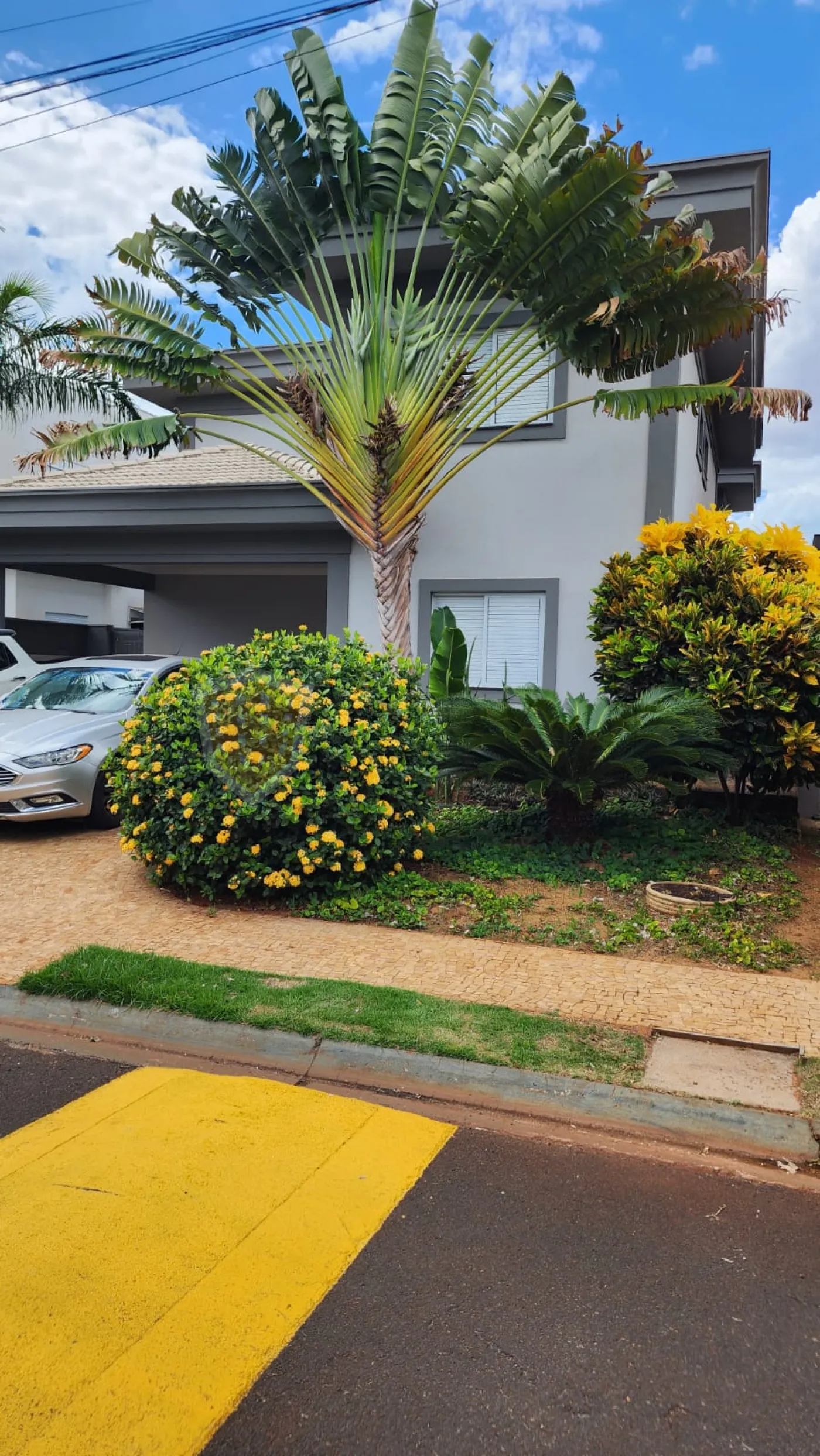 Comprar Casa / Condomínio em Ribeirão Preto R$ 2.250.000,00 - Foto 2