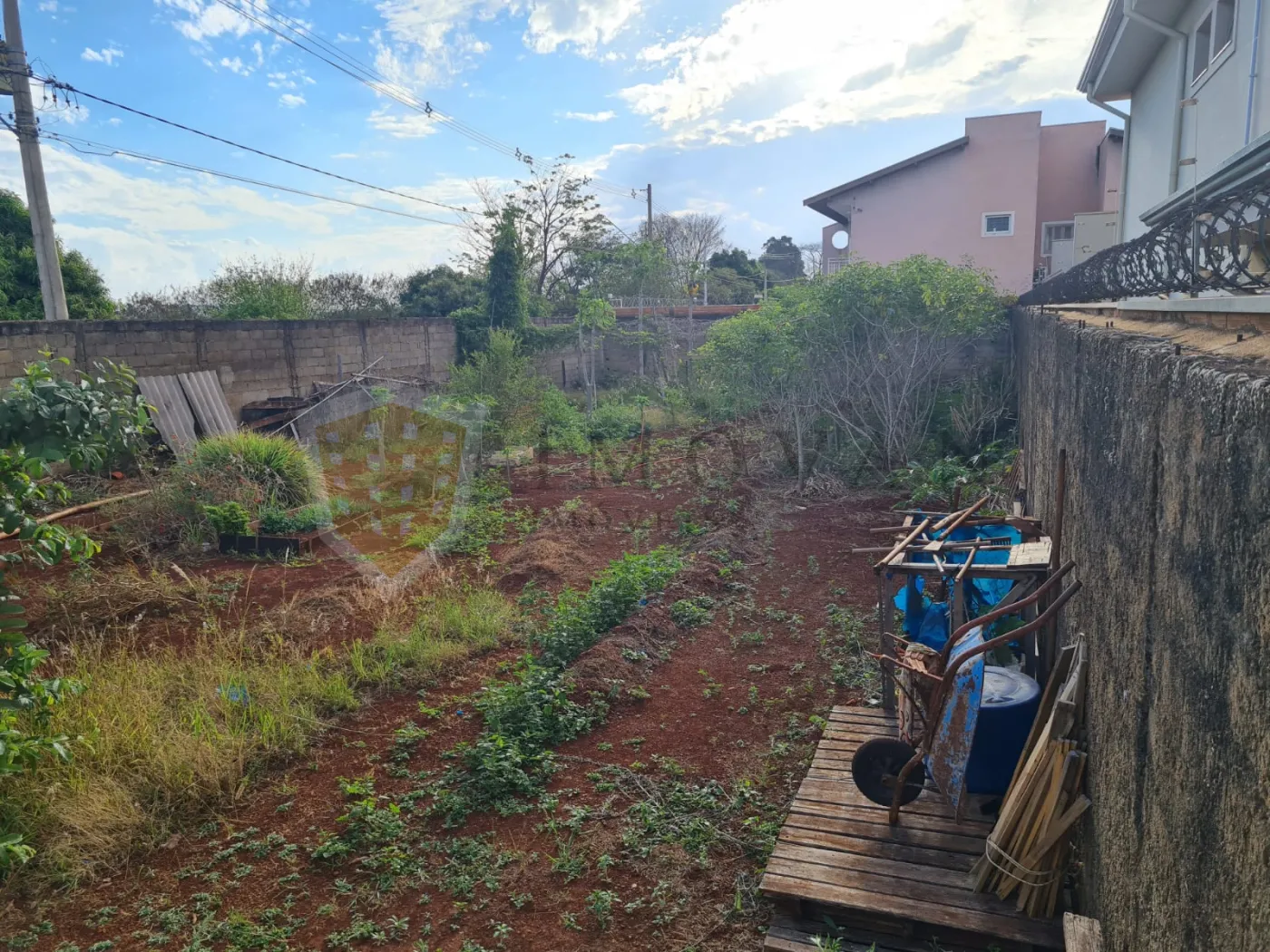 Comprar Terreno / Padrão em Ribeirão Preto R$ 295,00 - Foto 1