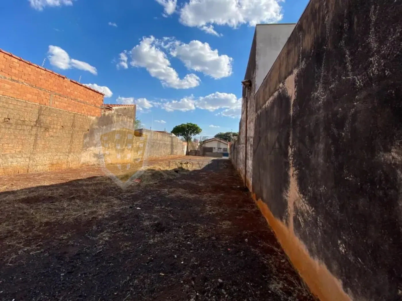 Comprar Terreno / Padrão em Ribeirão Preto R$ 219.000,00 - Foto 4