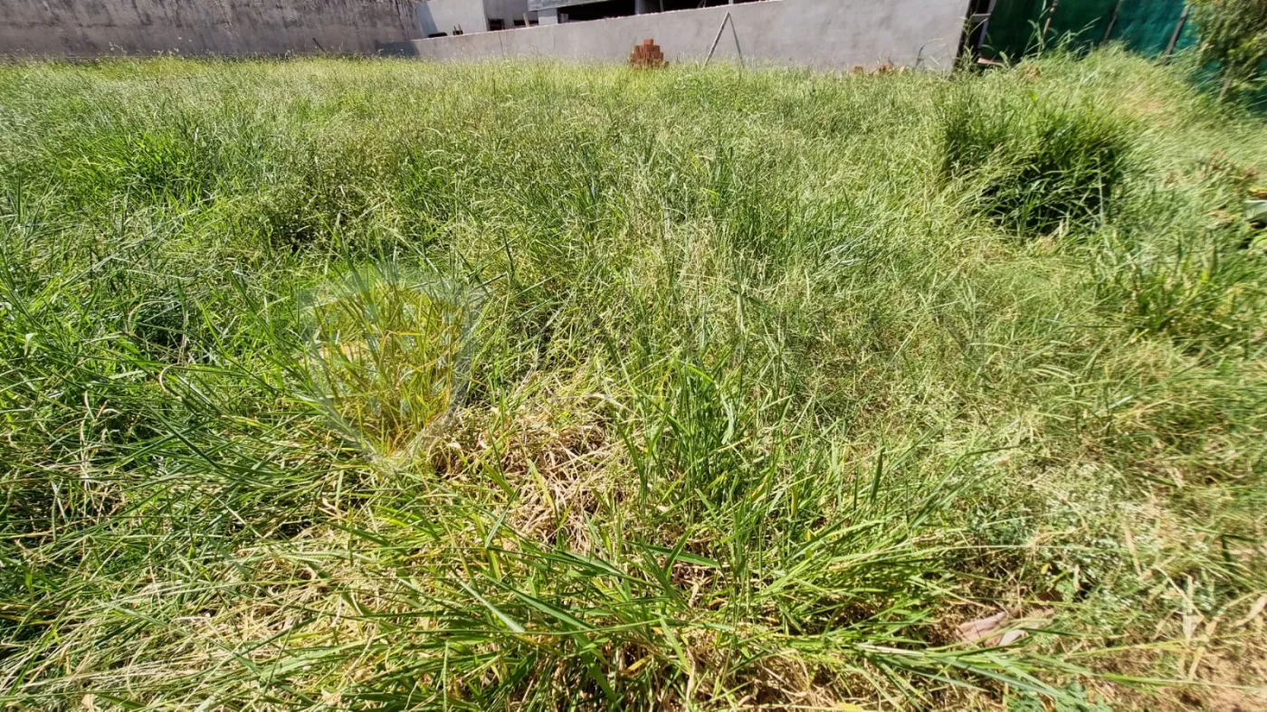 Comprar Terreno / Condomínio em Ribeirão Preto R$ 1.500.000,00 - Foto 3