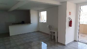 Alugar Apartamento / Padrão em Ribeirão Preto R$ 800,00 - Foto 8