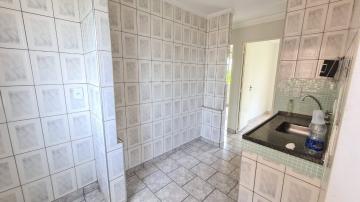 Alugar Apartamento / Padrão em Ribeirão Preto R$ 650,00 - Foto 5