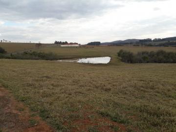 Comprar Casa / Padrão em Santo Antônio da Alegria R$ 1.290.000,00 - Foto 11