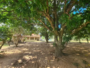 Comprar Rural / Chácara em Mococa R$ 350.000,00 - Foto 7