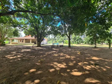 Comprar Rural / Chácara em Mococa R$ 350.000,00 - Foto 17