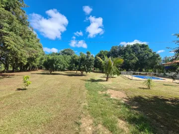 Comprar Rural / Chácara em Mococa R$ 350.000,00 - Foto 14