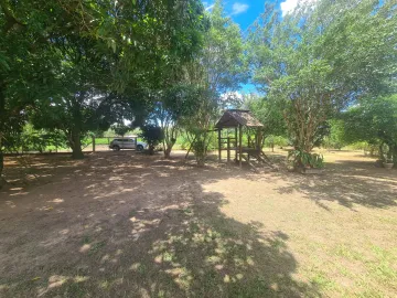 Comprar Rural / Chácara em Mococa R$ 350.000,00 - Foto 19