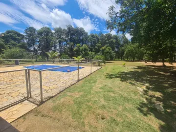 Comprar Rural / Chácara em Mococa R$ 350.000,00 - Foto 13