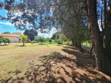 Comprar Rural / Chácara em Mococa R$ 350.000,00 - Foto 24