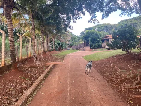 Rural / Sítio em São Simão 