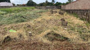 Terreno / Padrão em Delfinópolis 