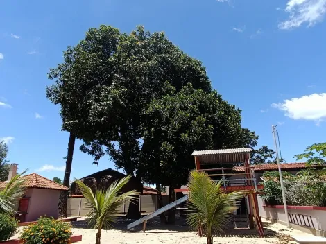 Comprar Rural / Chácara em Santa Rita do Passa Quatro R$ 1.800.000,00 - Foto 29