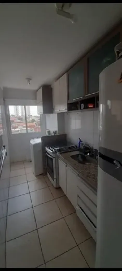 Ribeirão Preto - Vila Maria Luiza - Apartamento - Padrão - Venda