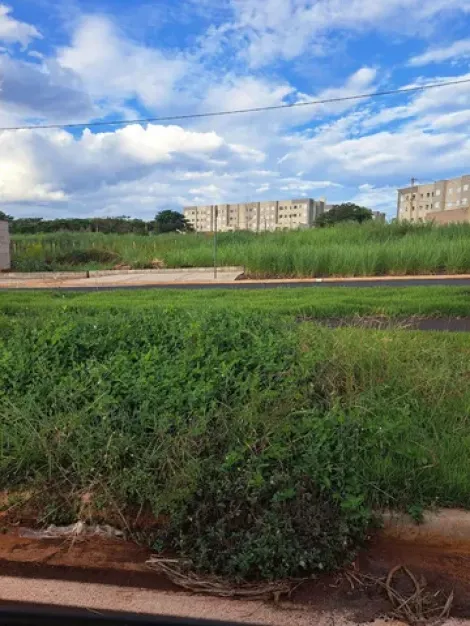 Comprar Terreno / Padrão em Ribeirão Preto R$ 130.000,00 - Foto 3