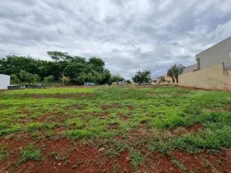 Comprar Terreno / Condomínio em Bonfim Paulista R$ 280.000,00 - Foto 4