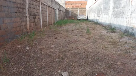 Alugar Terreno / Padrão em Ribeirão Preto R$ 800,00 - Foto 2