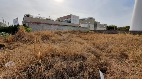 Comprar Terreno / Padrão em Ribeirão Preto R$ 900.000,00 - Foto 4