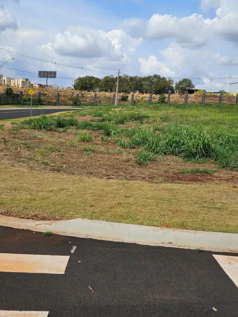 Terreno / Condomínio em Cravinhos 