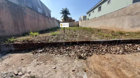 Terreno / Padrão em Ribeirão Preto 