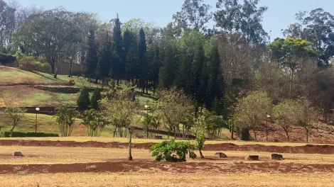 Comprar Terreno / Condomínio em Ribeirão Preto R$ 1.300.000,00 - Foto 9