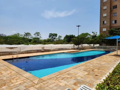 Alugar Apartamento / Padrão em Ribeirão Preto R$ 1.500,00 - Foto 16