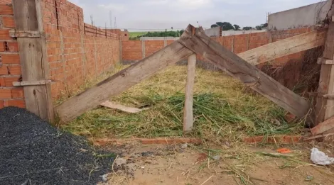 Terreno / Padrão em Ribeirão Preto 