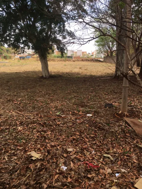 Comprar Terreno / Padrão em Ribeirão Preto R$ 1.750.000,00 - Foto 2