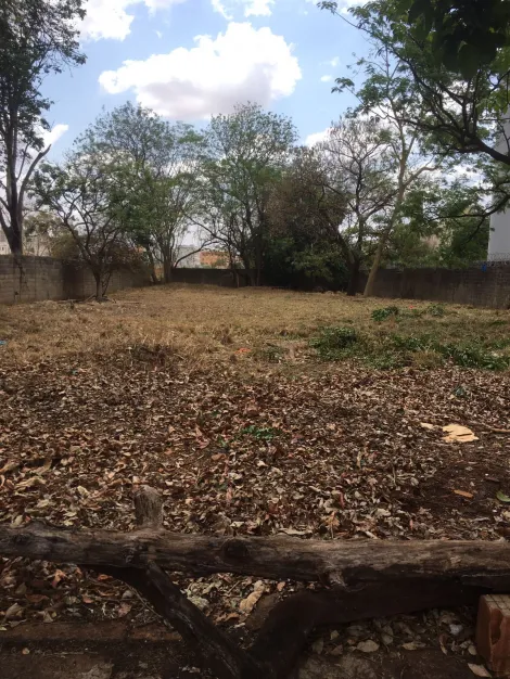 Terreno / Padrão em Ribeirão Preto 