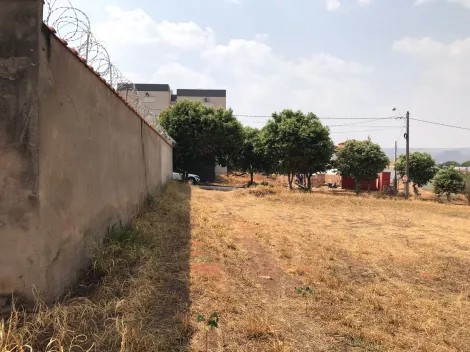 Comprar Terreno / Padrão em Rifaina R$ 250.000,00 - Foto 3