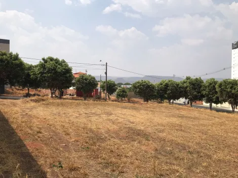 Comprar Terreno / Padrão em Rifaina R$ 250.000,00 - Foto 6