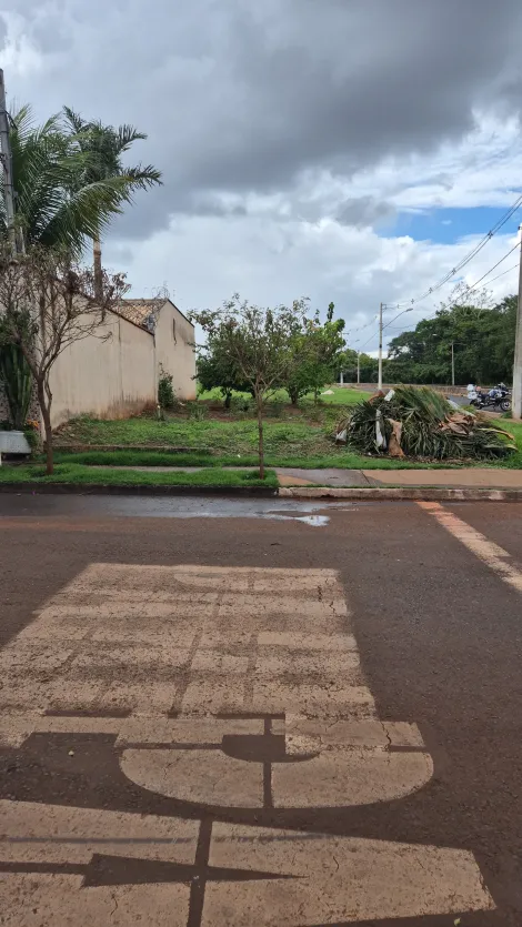 Jardinópolis - Santo Antônio - Terreno - Padrão - Venda