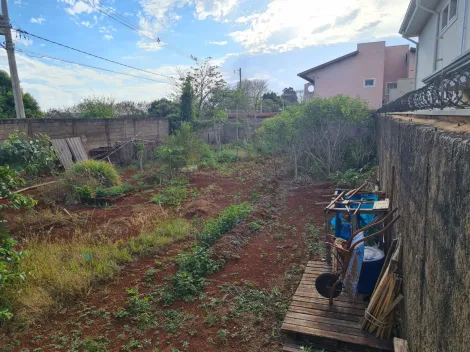 Ribeirão Preto - Vila Monte Alegre - Terreno - Padrão - Venda