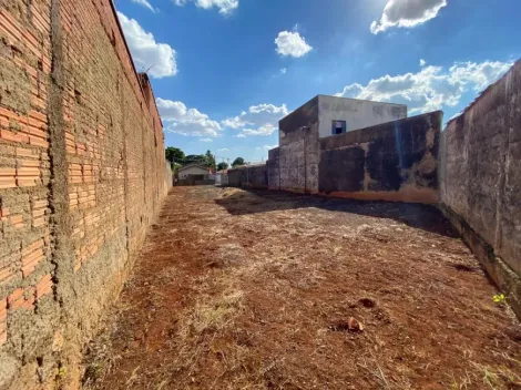 Comprar Terreno / Padrão em Ribeirão Preto R$ 219.000,00 - Foto 3