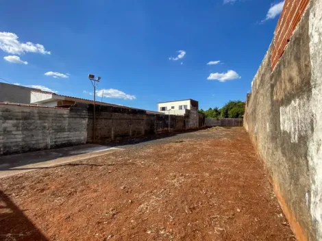 Ribeirão Preto - Parque São Sebastião - Terreno - Padrão - Venda