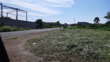 Ribeirão Preto - Vila Mariana - Terreno - Padrão - Venda