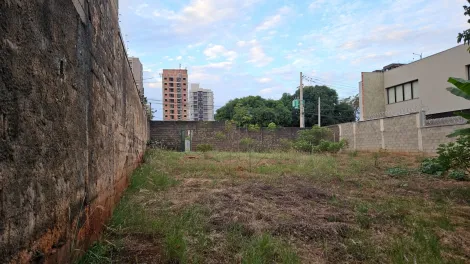 Ribeirão Preto - Ribeirânia - Terreno - Padrão - Venda