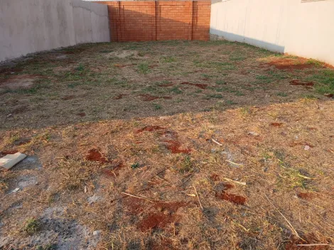 Comprar Terreno / Condomínio em Ribeirão Preto R$ 275.000,00 - Foto 3