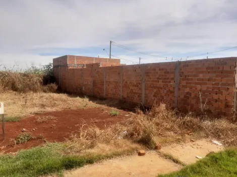 Ribeirão Preto - Jardim Cristo Redentor - Terreno - Padrão - Venda