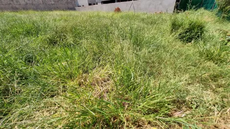 Comprar Terreno / Condomínio em Ribeirão Preto R$ 1.500.000,00 - Foto 3